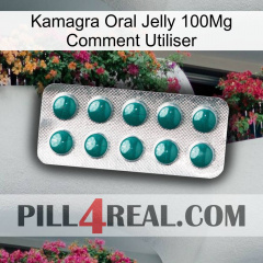 Kamagra Oral Jelly 100Mg How To Use dapoxetine1